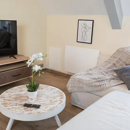 Loft Cosy Et Lumineux, Centre Bourg Par Groom* *